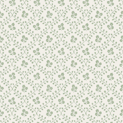 Wallpaper in cream with sage green vine lattice and small floral clusters forming diamonds.