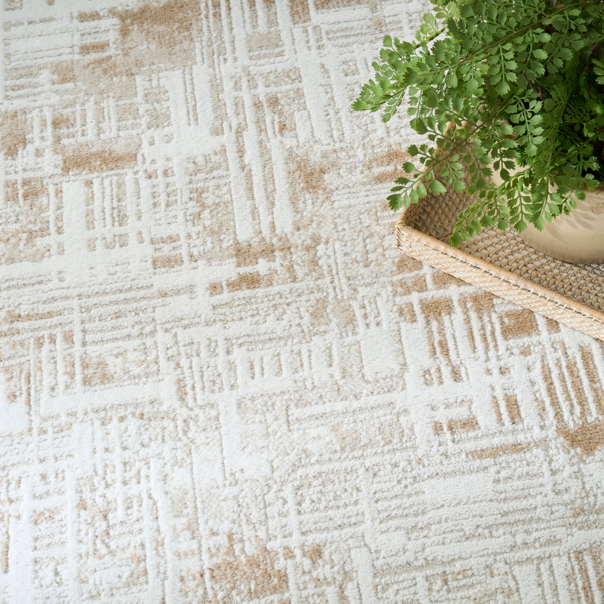Beige and cream geometric patterned rug with a potted fern on a natural woven tray.