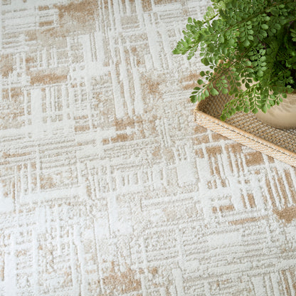 Beige and cream geometric patterned rug with a potted fern on a natural woven tray.