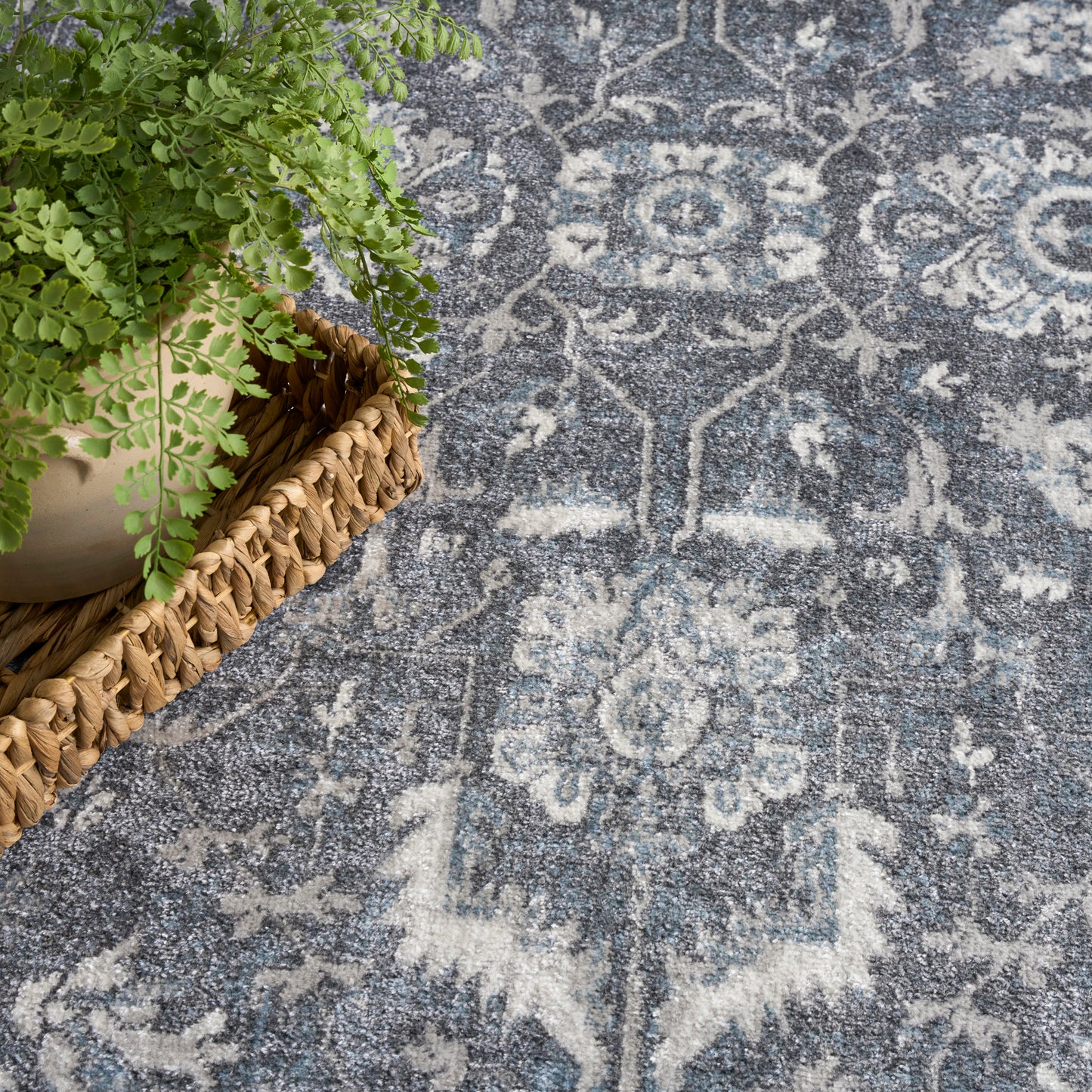 Blue-gray oriental-style rug with ivory floral motifs; potted fern in a woven wicker basket at the rug's edge.