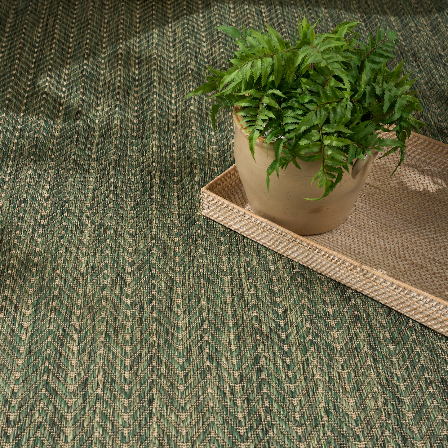 Fern in a tan ceramic pot on a woven tray, set on a green chevron-patterned rug.