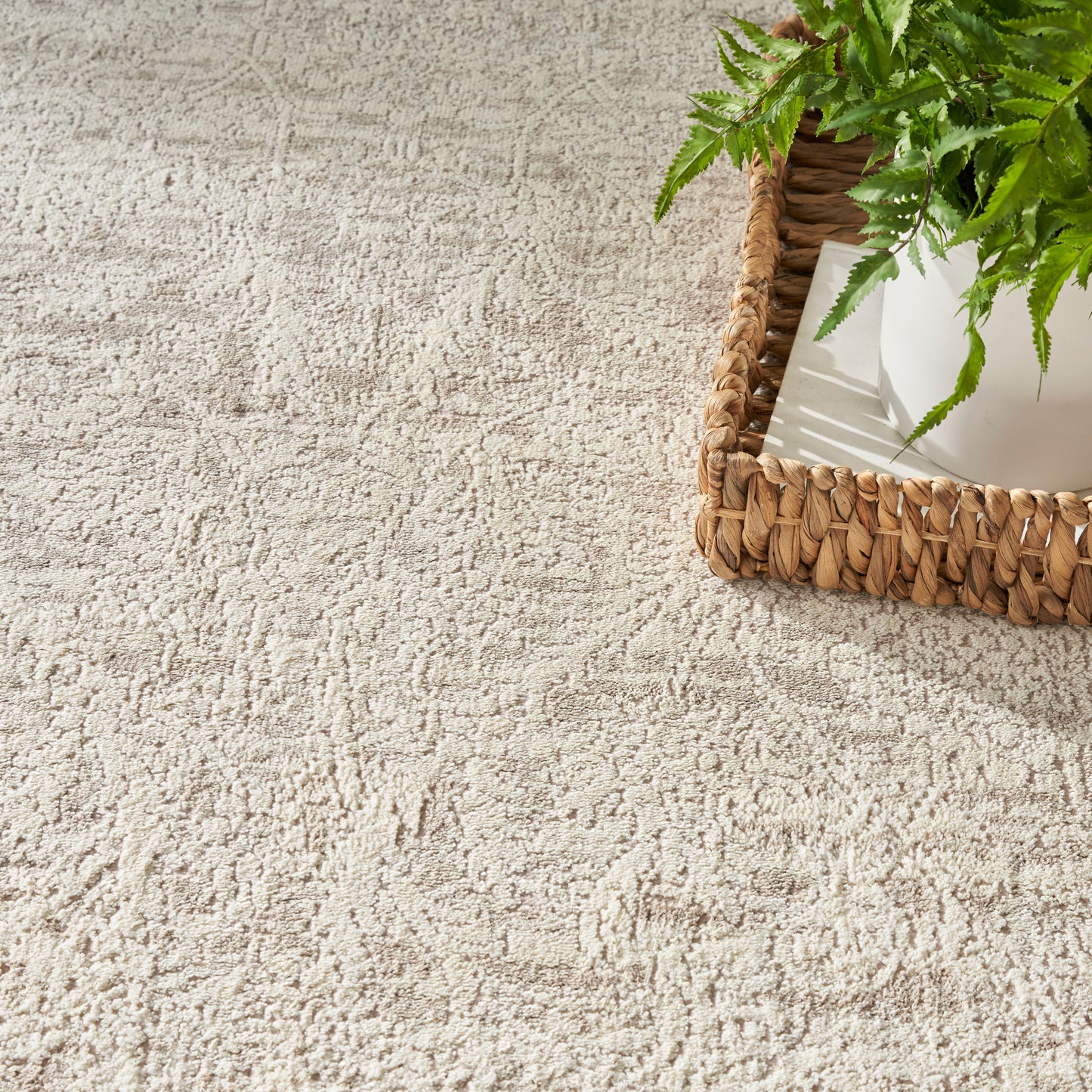 Beige textured rug with a woven wicker basket holding a white planter and green fern in the corner.