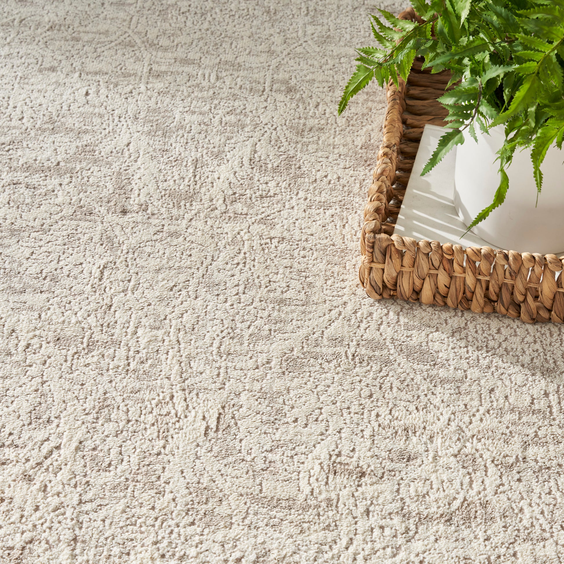 Beige textured rug with a woven wicker basket holding a white planter and green fern in the corner.
