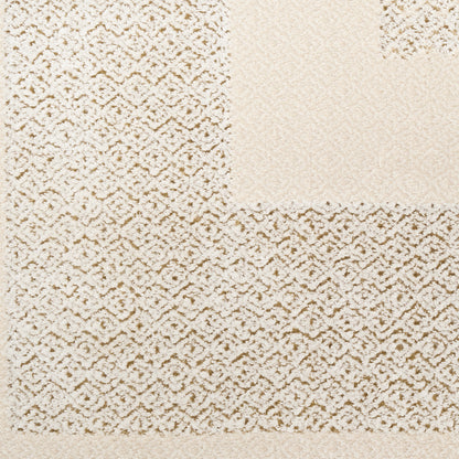 Neutral beige area rug with cream lattice geometric pattern; plush textured weave for contemporary decor.