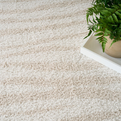 Beige shag rug with a white rectangular tray and potted fern on the right.