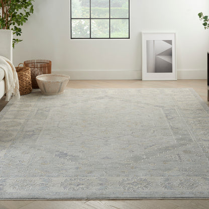 Light gray area rug with subtle medallion pattern in a bright sunlit living room with plants, wicker baskets, and framed art.