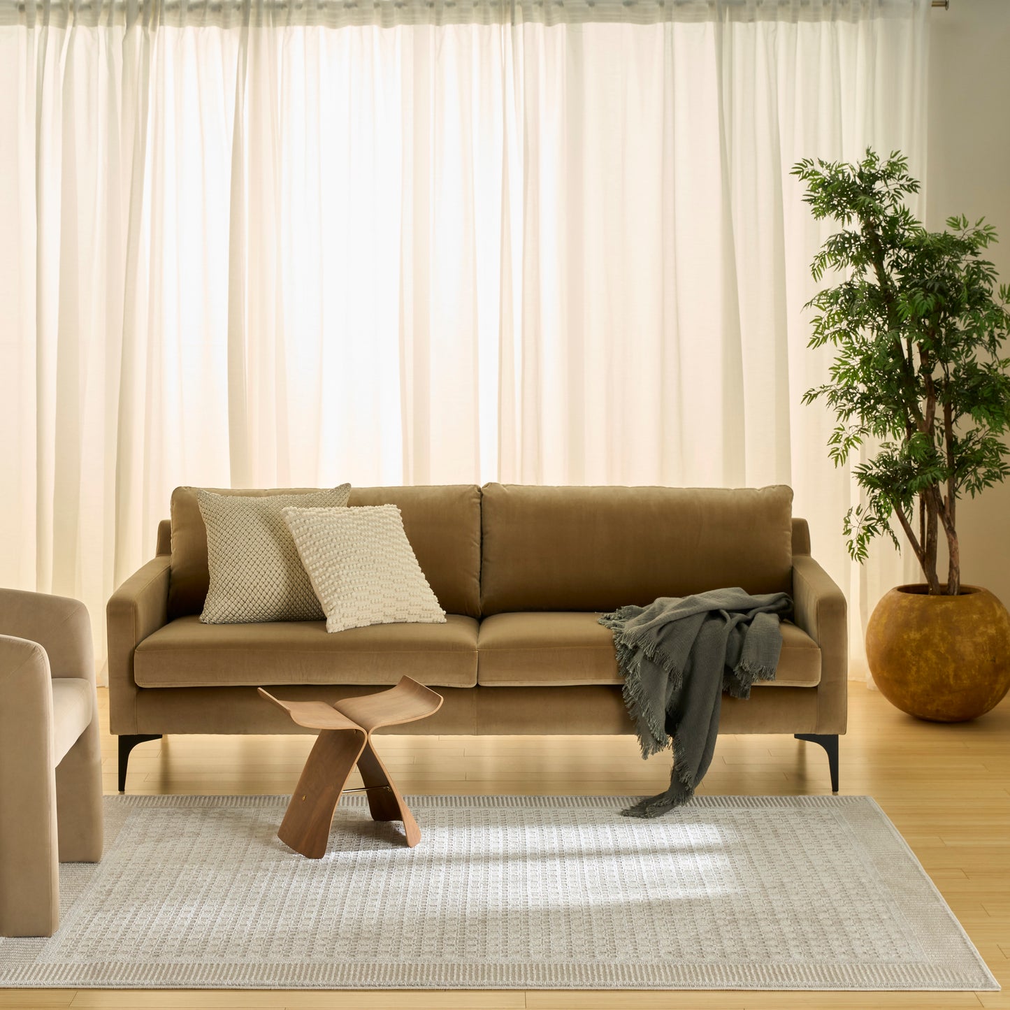 Beige 5' x 7' rug in a living room setting with a beige sofa & two textured cushions, a gray throw, a small wooden coffee table, and a potted plant in the corner.