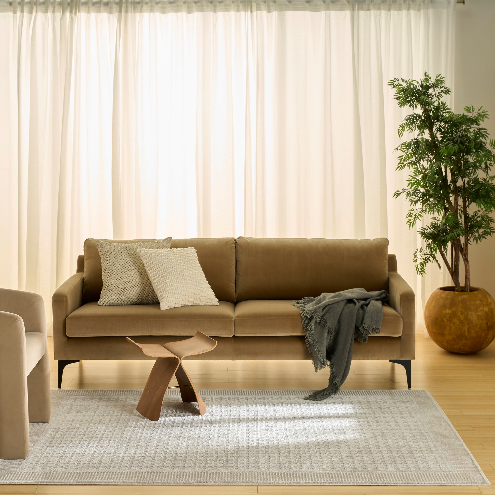 Beige 5' x 7' rug in a living room setting with a beige sofa & two textured cushions, a gray throw, a small wooden coffee table, and a potted plant in the corner.