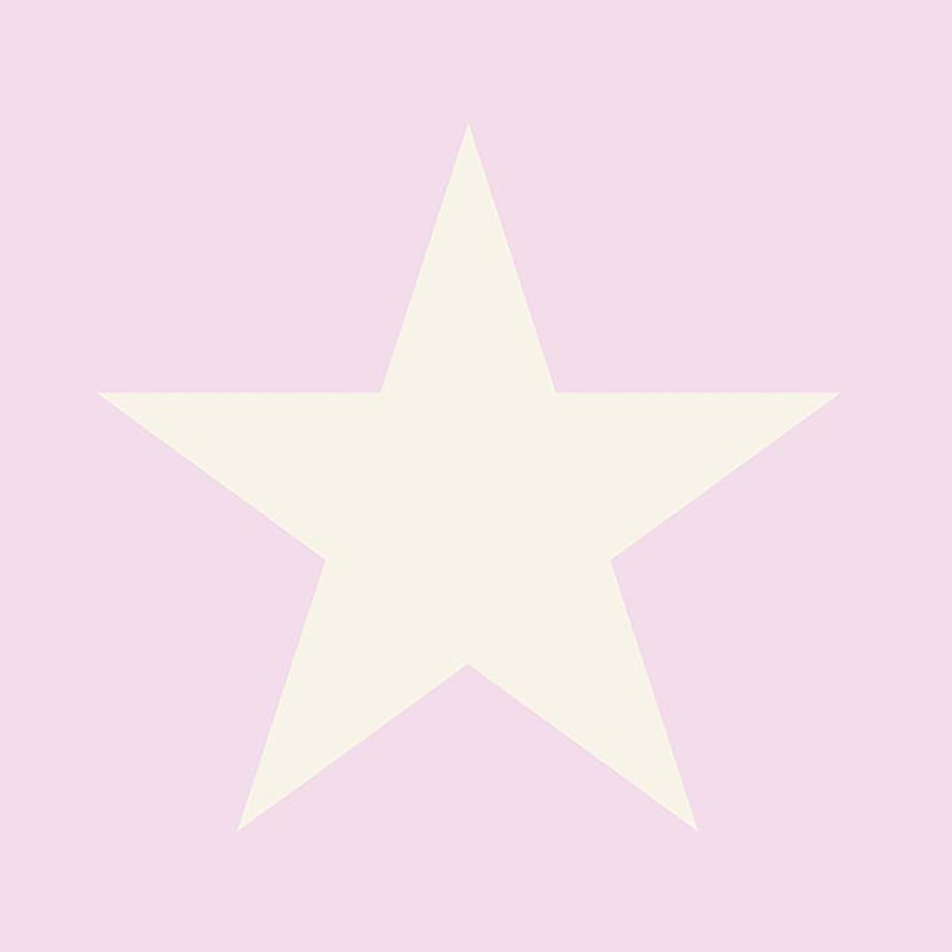 Cream five-point star centered on blush pink background; simple minimalist decorative graphic.