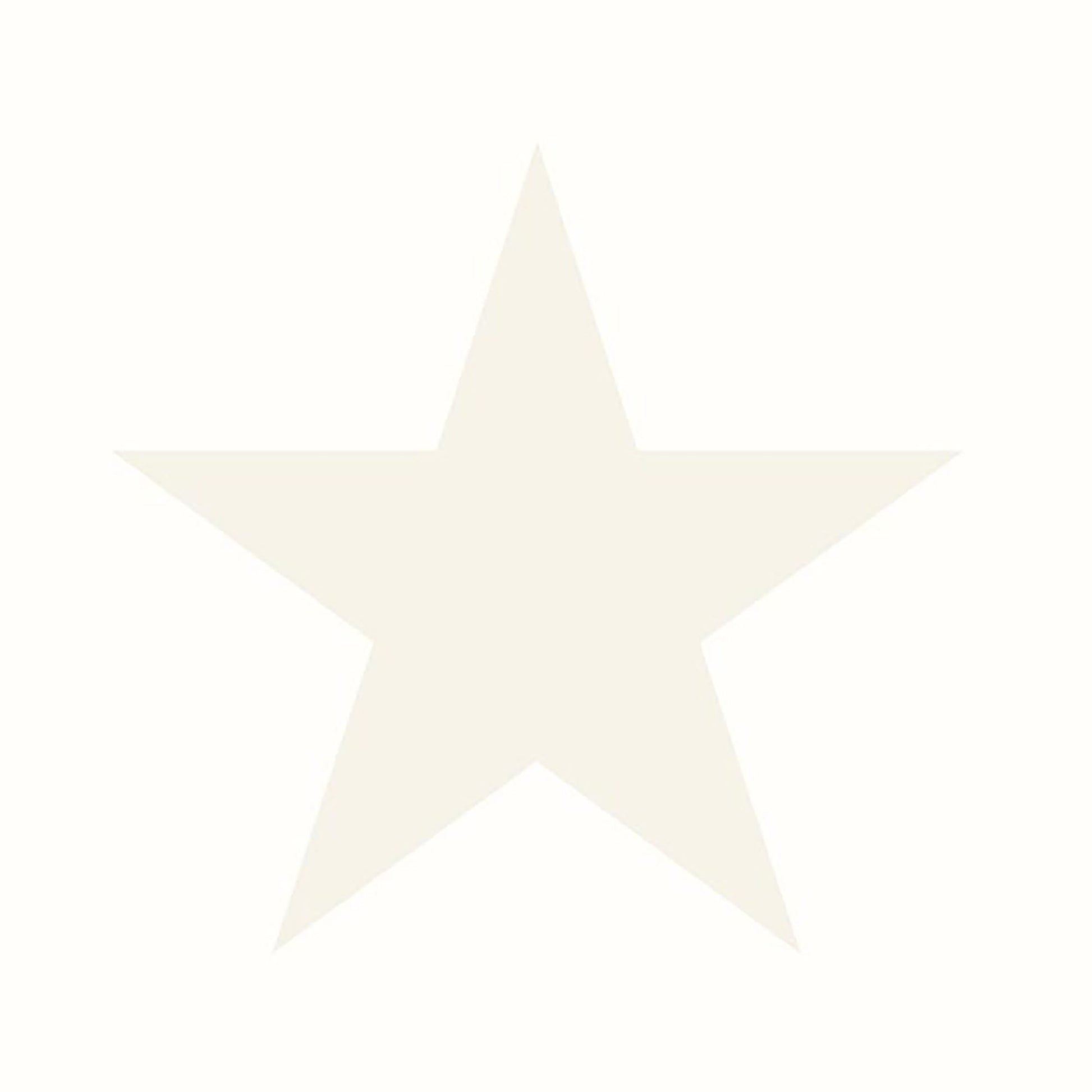 Cream five-point star silhouette on pale background; minimalist decorative graphic.