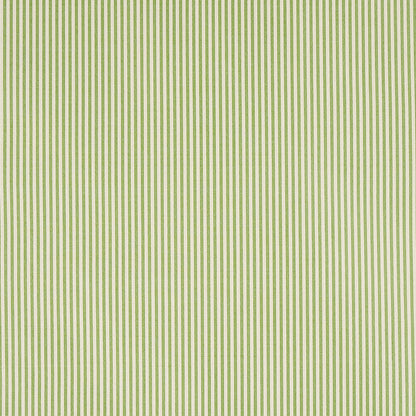 SCHUMACHER  NEW TRADITIONAL CHAREE SILK STRIPE PATTERN WOVEN PATTERN WOVEN GREEN   - 60925