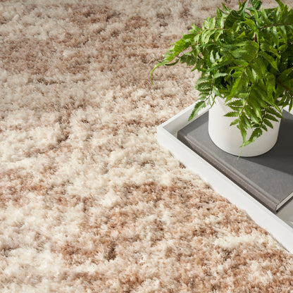 Soft beige-brown shag rug with plush fibers; white planter with fern on a gray tray.