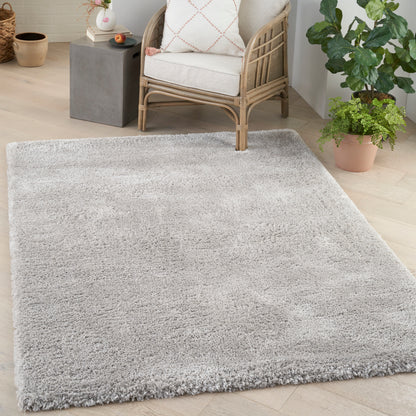 Nourison Rugs Nourison Home   Shag 5' X 7'    - 099446893192