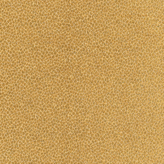 SCHUMACHER  CHROMA KENYA TEXTURE TEXTURES TEXTURES CAMEL   - 62570