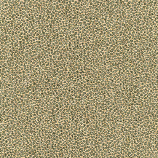 SCHUMACHER  CHROMA KENYA TEXTURE TEXTURES TEXTURES MINERAL   - 62571