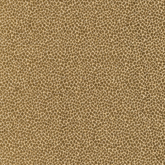 SCHUMACHER  CHROMA KENYA TEXTURE TEXTURES TEXTURES OLIVE   - 62572