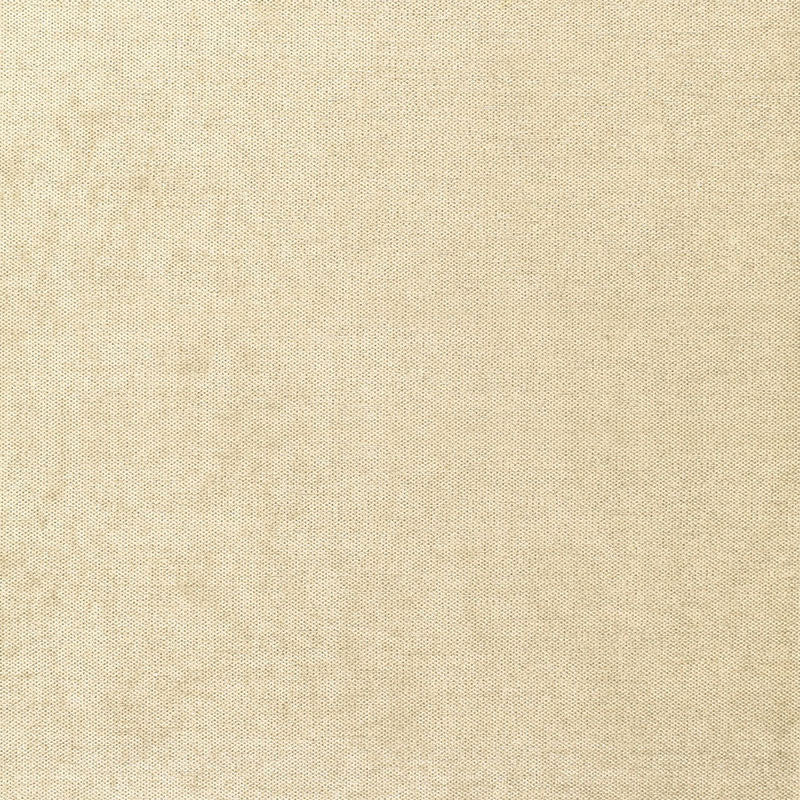 Beige canvas fabric texture, natural woven linen look with warm neutral tone, suitable for upholstery or crafts.