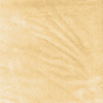 SCHUMACHER  PERFECT BASICS: VELVET VENETIAN SILK VELVET VELVETS,SILKS & SATIN VELVETS,SILKS & SATIN CHAMPAGNE   - 62730