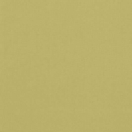 SCHUMACHER  PERFECT BASICS: COTTON AVERY COTTON PLAIN PLAINS,INDOOR/OUTDOOR,HIGH PERFORMANCE PLAINS,INDOOR/OUTDOOR,HIGH PERFORMANCE SAGE   - 62949