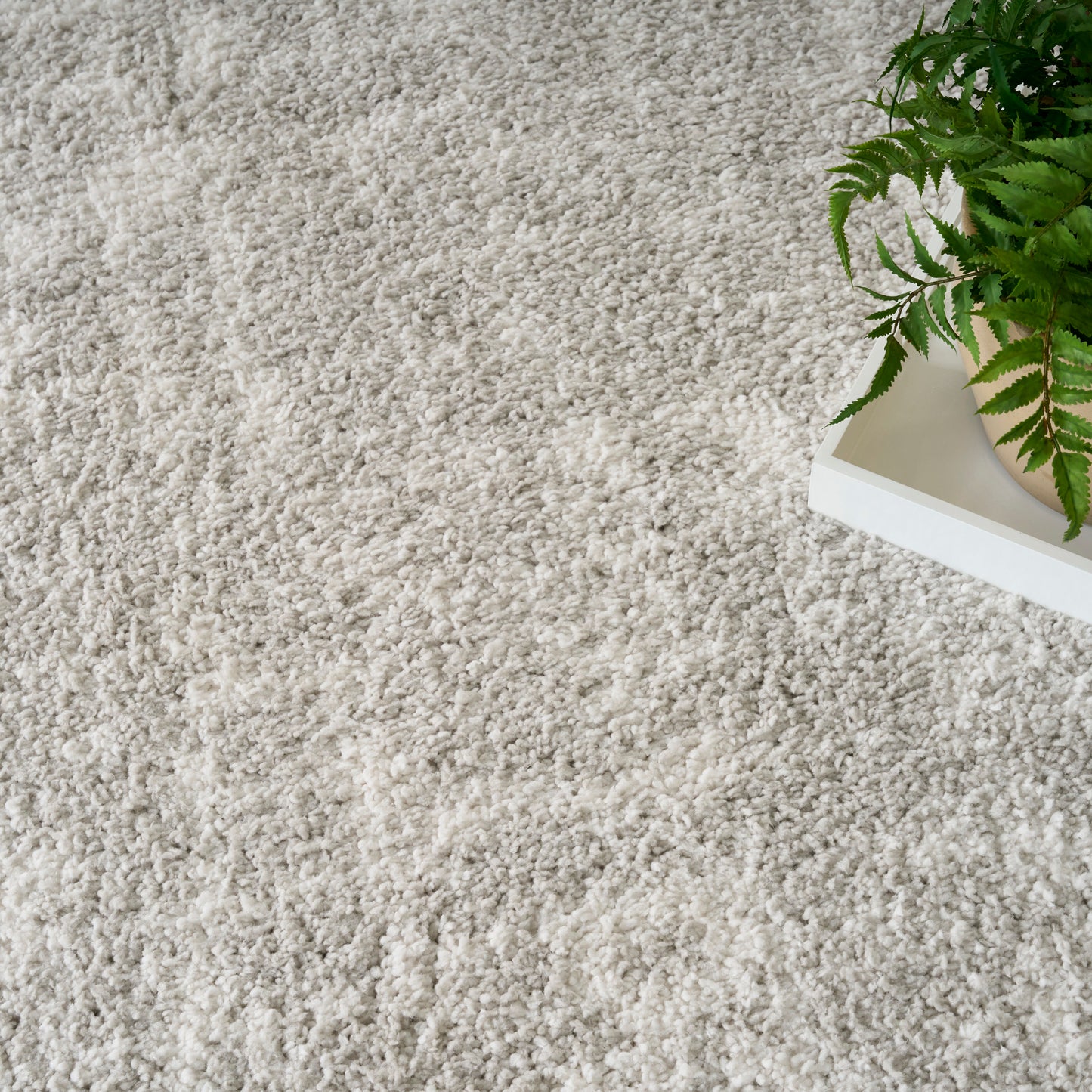 Beige shag rug with plush high-pile texture; white tray and green fern in corner.
