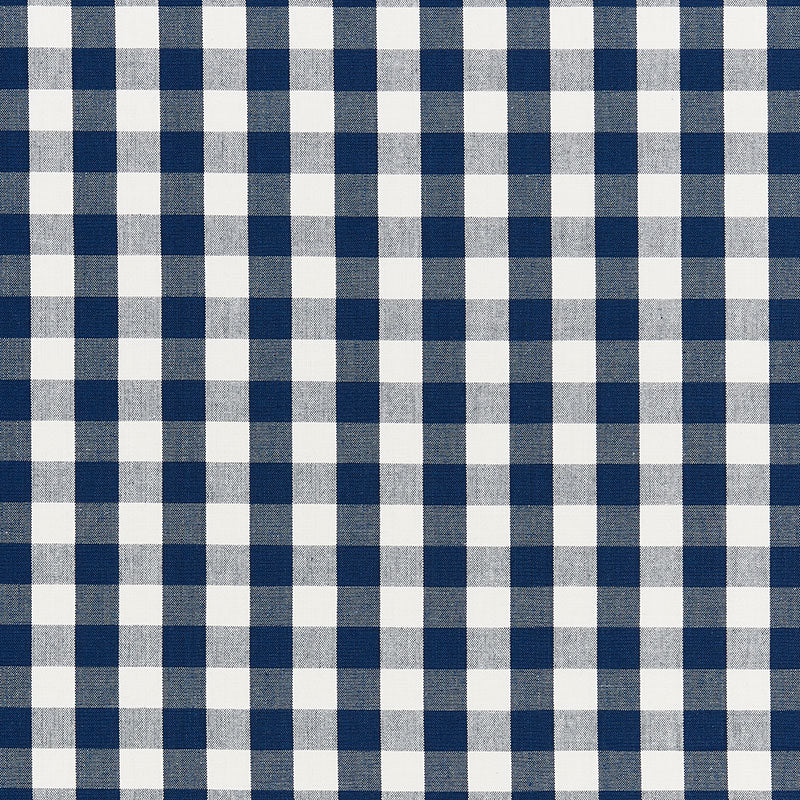 Blue & white gingham check fabric with woven texture, versatile for shirts or tablecloths.