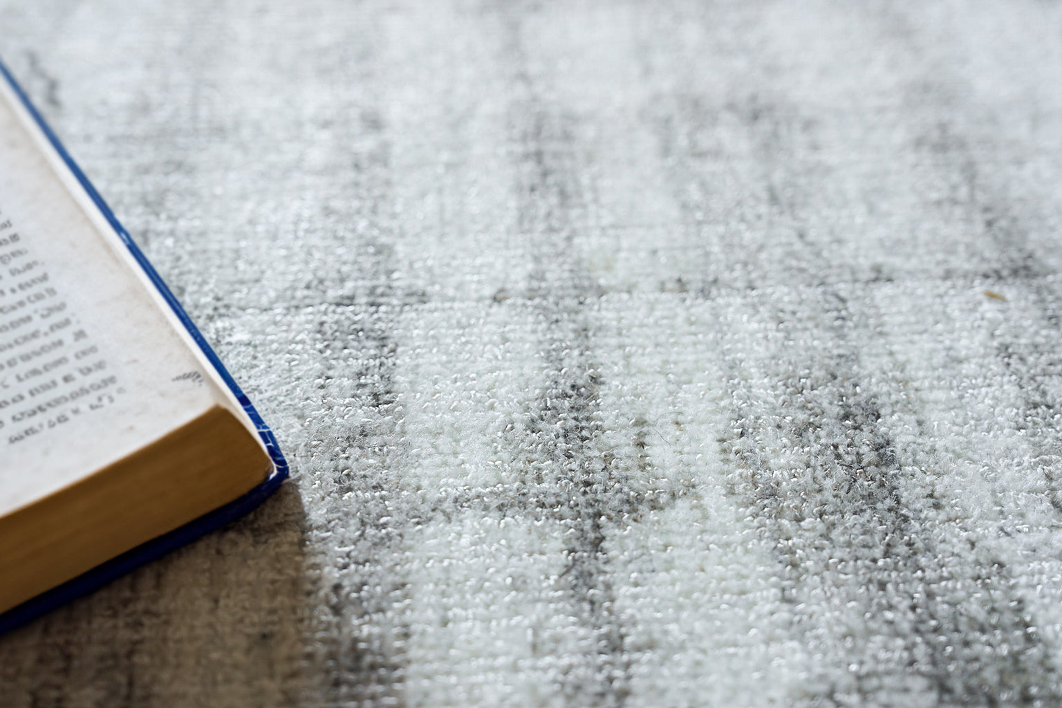 Blue-edged rug on a light gray textured surface.