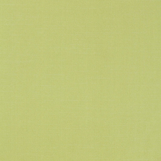 SCHUMACHER  PERFECT BASICS: BLENDS TIEPOLO SHANTUNG WEAVE PLAINS PLAINS LIMEADE   - 63866