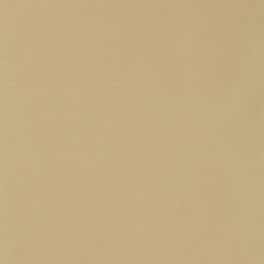 SCHUMACHER  PERFECT BASICS: SILK & TAFFETA MASACCIO TAFFETA PLAINS PLAINS PUTTY   - 63900