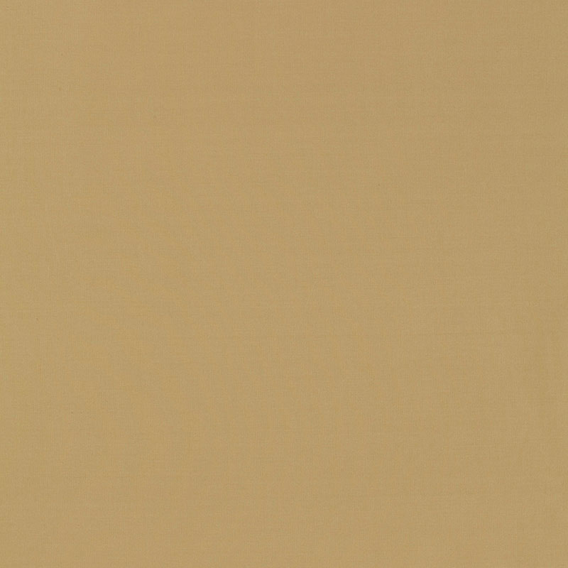 Beige linen fabric texture, plain, warm sand color for upholstery or crafts.