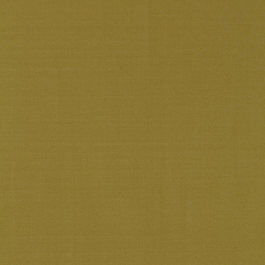 SCHUMACHER  PERFECT BASICS: SILK & TAFFETA MASACCIO TAFFETA PLAINS PLAINS LICHEN   - 63910