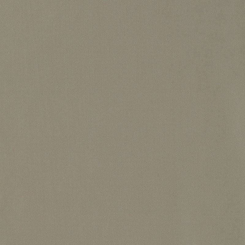 Beige silk & taffeta plains fabric swatch; smooth, crisp material with subtle sheen, suitable for upholstery or apparel.