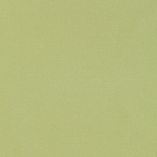 SCHUMACHER  PERFECT BASICS: SILK & TAFFETA GIORDANO TAFFETA PLAINS,HIGH PERFORMANCE PLAINS,HIGH PERFORMANCE MINT JULEP   - 63971