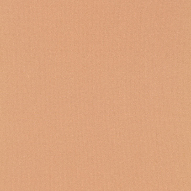 SCHUMACHER  PERFECT BASICS: SILK & TAFFETA GIORDANO TAFFETA PLAINS,HIGH PERFORMANCE PLAINS,HIGH PERFORMANCE CAMEO   - 63991