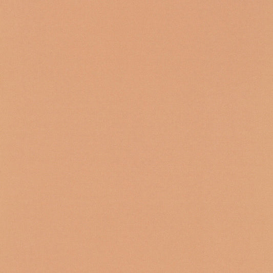 SCHUMACHER  PERFECT BASICS: SILK & TAFFETA GIORDANO TAFFETA PLAINS,HIGH PERFORMANCE PLAINS,HIGH PERFORMANCE CAMEO   - 63991