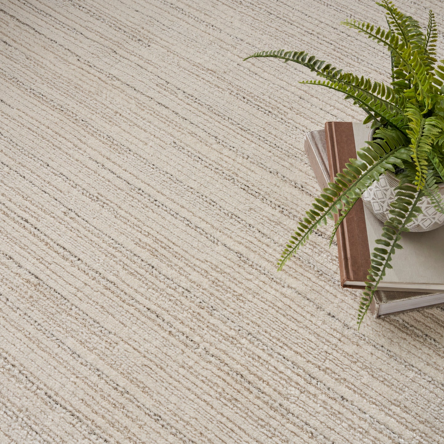Beige striped textured rug with a green fern in a white pot atop neutral books on the right.