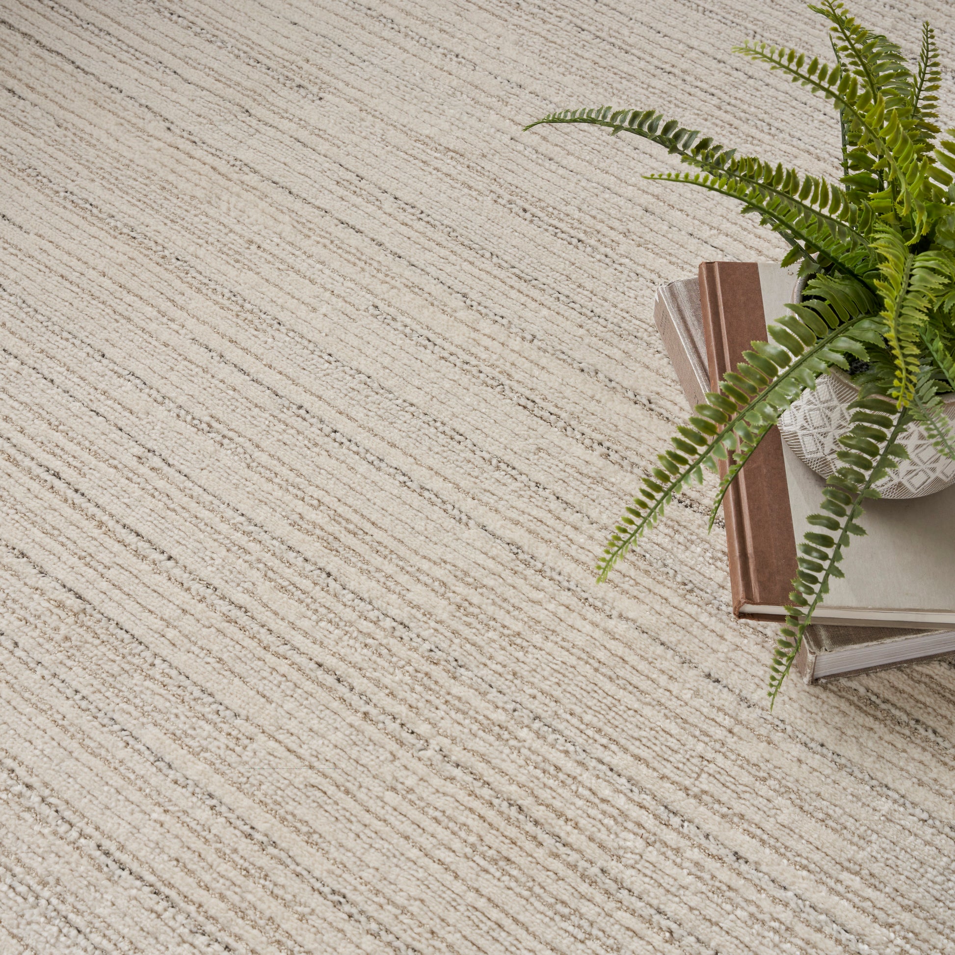 Beige striped textured rug with a green fern in a white pot atop neutral books on the right.