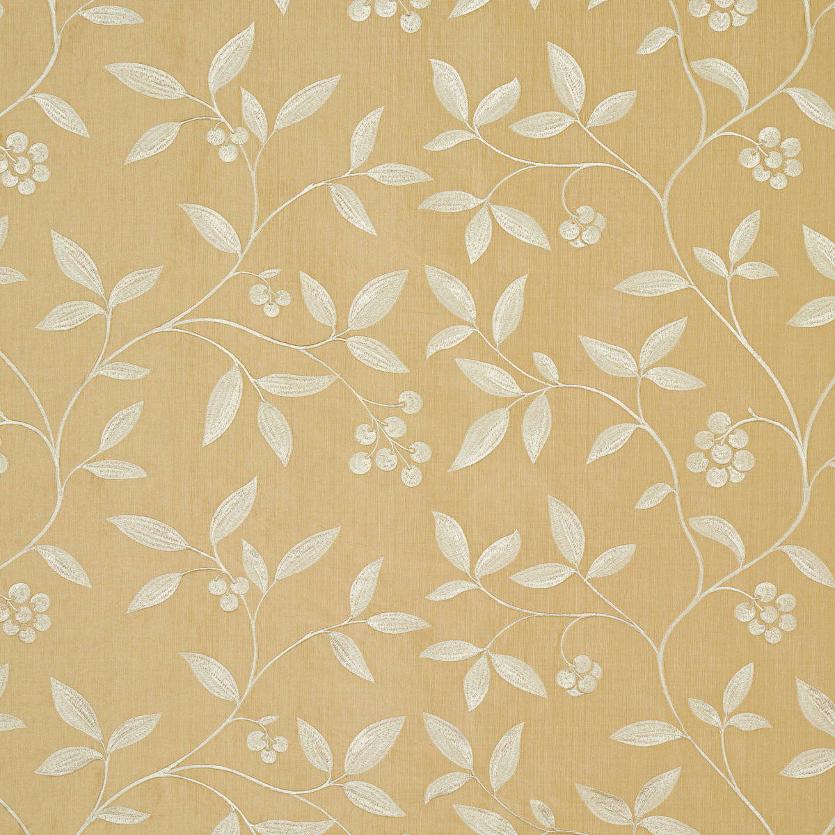 SCHUMACHER  CHROMA Adelaide Embroidery EMBROIDERIES EMBROIDERIES BLONDE   - 64331