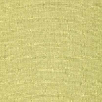 SCHUMACHER  PERFECT BASICS: LINEN GWENETH LINEN PLAINS,HIGH PERFORMANCE PLAINS,HIGH PERFORMANCE FERN   - 64495