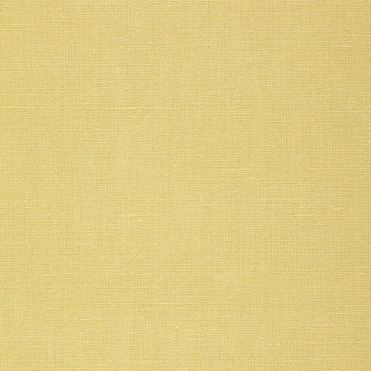 SCHUMACHER  PERFECT BASICS: LINEN GWENETH LINEN PLAINS,HIGH PERFORMANCE PLAINS,HIGH PERFORMANCE LIMEADE   - 64496