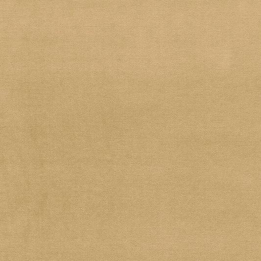 SCHUMACHER  PERFECT BASICS: VELVET GAINSBOROUGH VELVET VELVETS VELVETS PEANUT   - 64520