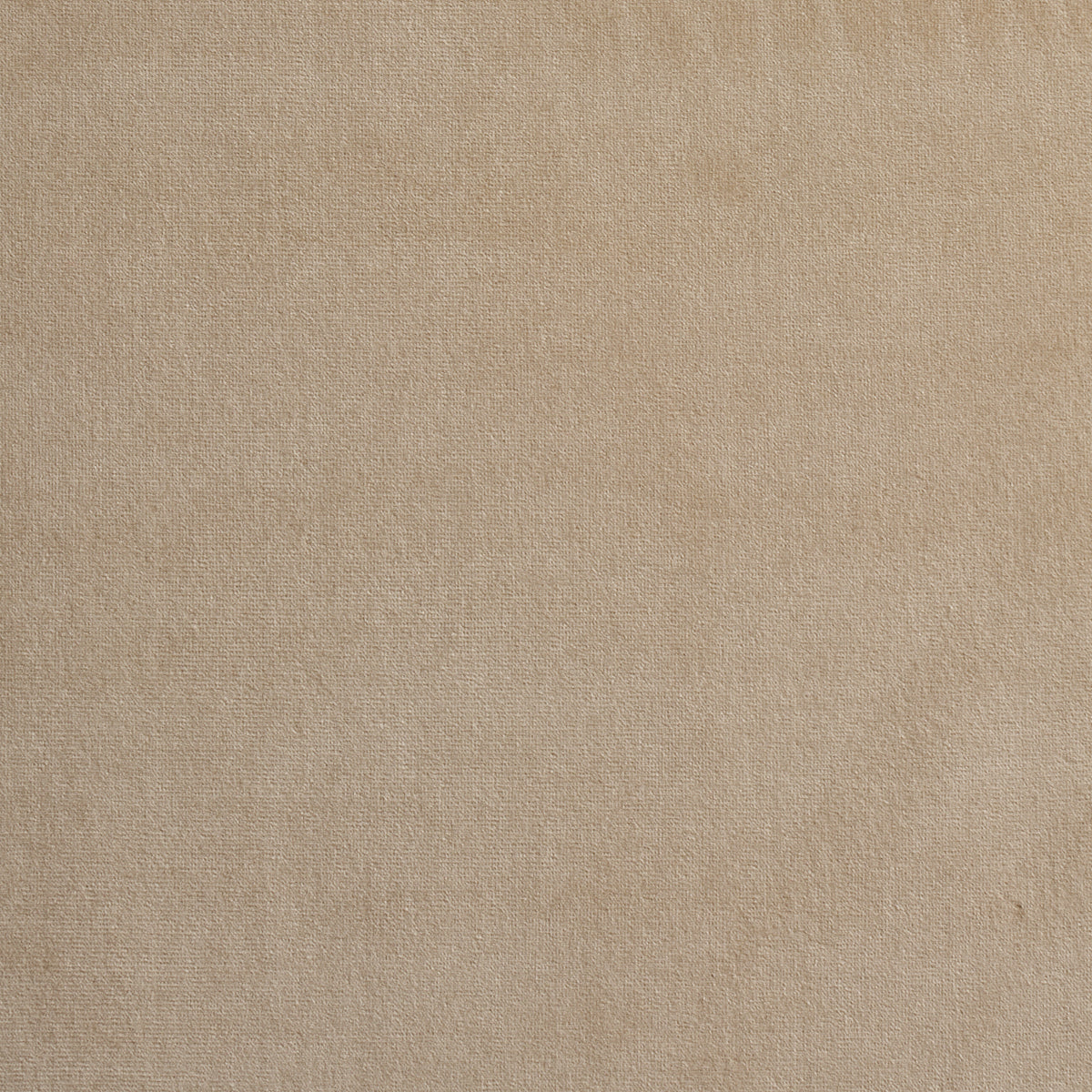 SCHUMACHER  PERFECT BASICS: VELVET GAINSBOROUGH VELVET VELVETS,HIGH PERFORMANCE VELVETS,HIGH PERFORMANCE BISQUE   - 64529