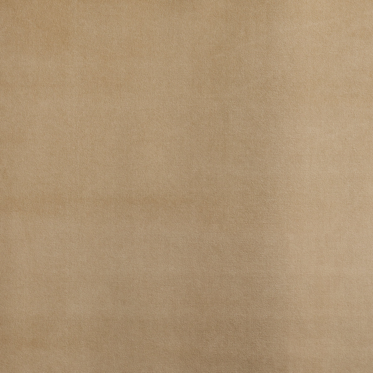 Beige fabric texture with soft nap and subtle creases, a warm neutral swatch.