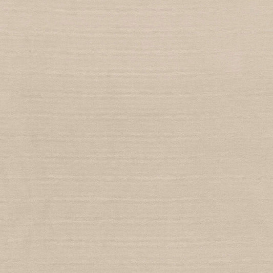 SCHUMACHER  PERFECT BASICS: VELVET GAINSBOROUGH VELVET VELVETS,HIGH PERFORMANCE VELVETS,HIGH PERFORMANCE CEMENT   - 64532