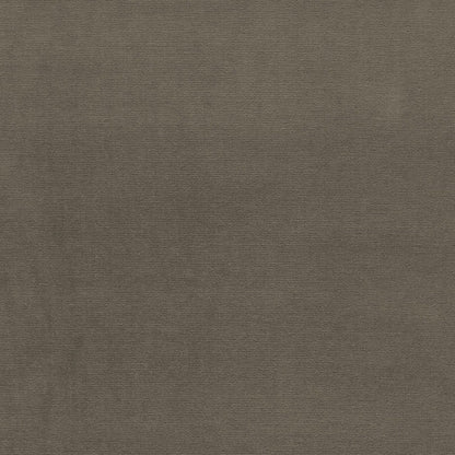 SCHUMACHER  PERFECT BASICS: VELVET GAINSBOROUGH VELVET VELVETS,HIGH PERFORMANCE VELVETS,HIGH PERFORMANCE MOLESKIN   - 64534