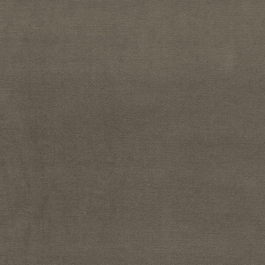 SCHUMACHER  PERFECT BASICS: VELVET GAINSBOROUGH VELVET VELVETS,HIGH PERFORMANCE VELVETS,HIGH PERFORMANCE MOLESKIN   - 64534