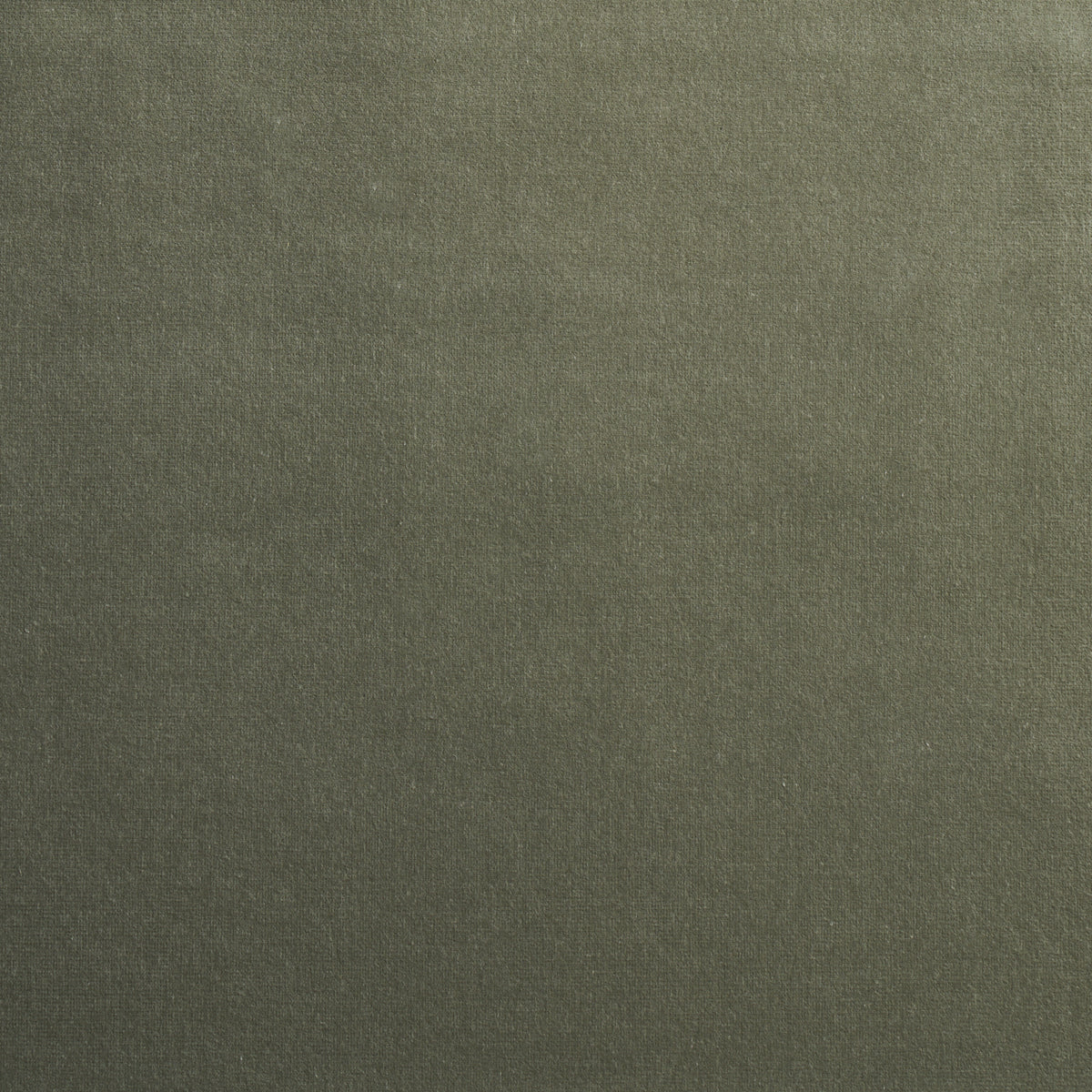 SCHUMACHER  PERFECT BASICS: VELVET GAINSBOROUGH VELVET VELVETS,HIGH PERFORMANCE VELVETS,HIGH PERFORMANCE PATINA   - 64545