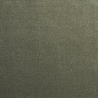 SCHUMACHER  PERFECT BASICS: VELVET GAINSBOROUGH VELVET VELVETS,HIGH PERFORMANCE VELVETS,HIGH PERFORMANCE PATINA   - 64545