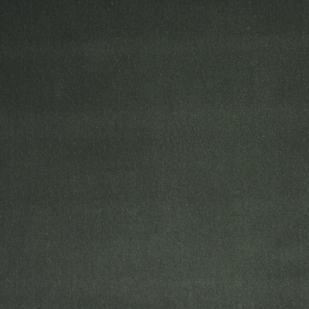 SCHUMACHER  PERFECT BASICS: VELVET GAINSBOROUGH VELVET VELVETS,HIGH PERFORMANCE VELVETS,HIGH PERFORMANCE BLUE SPRUCE   - 64554