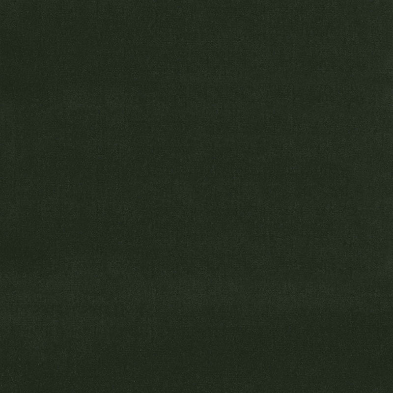 SCHUMACHER  PERFECT BASICS: VELVET GAINSBOROUGH VELVET VELVETS,HIGH PERFORMANCE VELVETS,HIGH PERFORMANCE BOXWOOD   - 64557