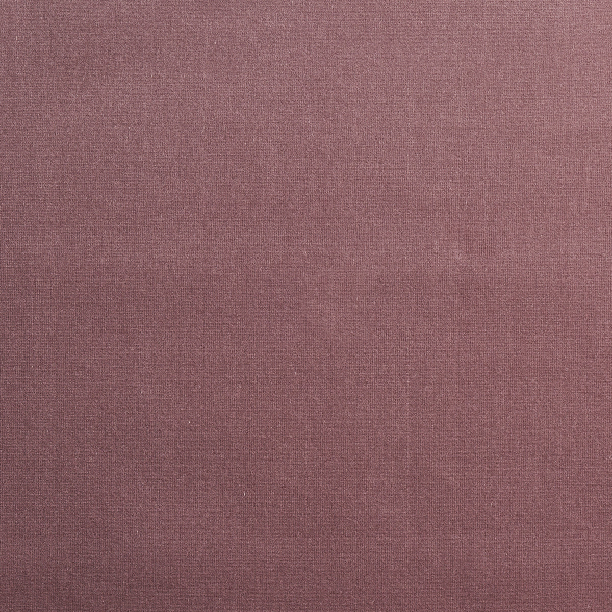 SCHUMACHER  PERFECT BASICS: VELVET GAINSBOROUGH VELVET VELVETS,HIGH PERFORMANCE VELVETS,HIGH PERFORMANCE MAUVE   - 64568